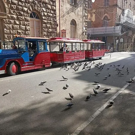 Apartment Uno Sguardo Sul Mare - -