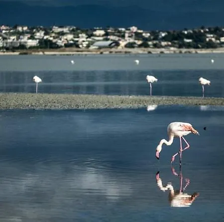Uno Sguardo Sul Mare - - Quartu Sant'Elena