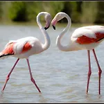 Uno Sguardo Sul Mare - - *