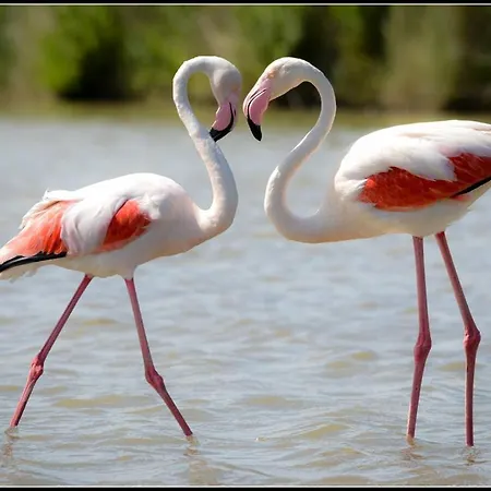 Uno Sguardo Sul Mare - - *