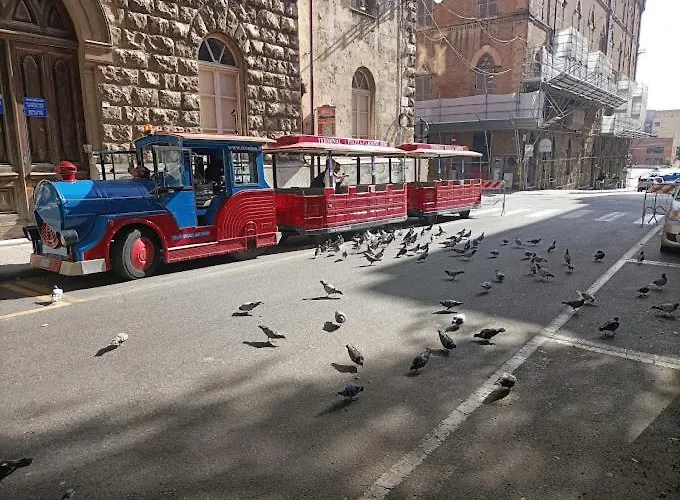 Apartment Uno Sguardo Sul Mare - -