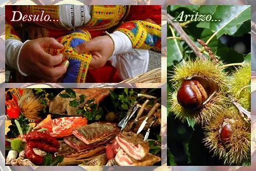 Uno Sguardo Sul Mare - - Apartment Quartu SantʼElena