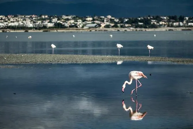 Uno Sguardo Sul Mare - - Quartu SantʼElena
